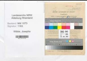 Entnazifizierung Josepha Wibbe , geb. 23.06.1904 (Berufsberaterin)