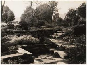 Garten Zierhut Böhmerwald: Treppe im Garten