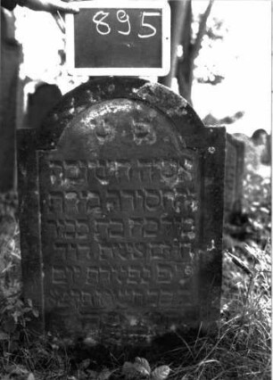 Grabstein 895 (Index: 100103745) Material: Sandstein Zustand: unten verwittert, sonst stellenweise angewittert Maße HxBxT: 80x52x7 cm Beschreibung: Stele, eingezogener Rundbogenabschluss, Schriftfeld eingetieft: Grabstein 895