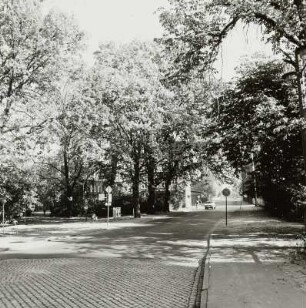 Drei Eichen (Quercus; Naturdenkmale)