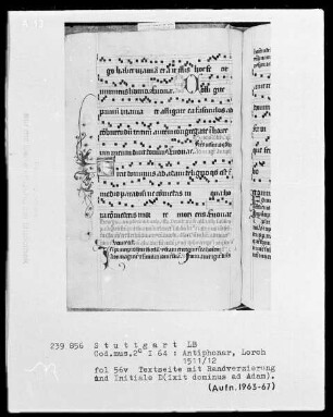 Antiphonarium (Benediktinerhandschrift) — Initiale D(ixit dominus ad Adam), Folio 56verso