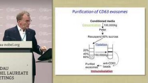 Sorting of Small RNAs Into EVs Secreted by Human Cells
