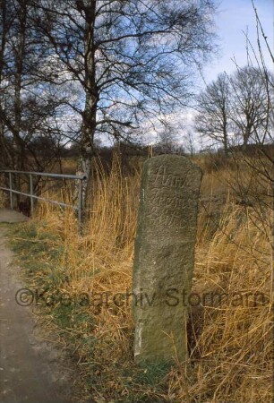zwischen Sülfeld und Itzstedt (Kreis Segeberg): Grenzstein des Amtes Tremsbüttel zum Gut Borstel: auf Schmalseite Hufeisen-Symbol: an Norderbeste