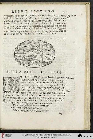 Cap. LXVIII. Della Vite
