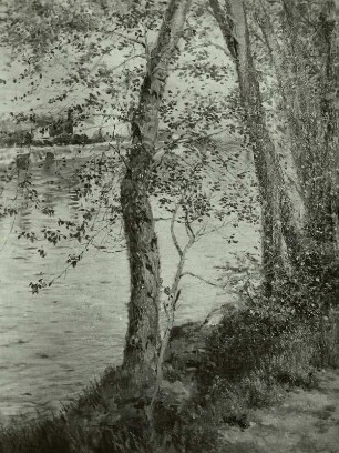 Landschaft an der Seine bei Billancourt