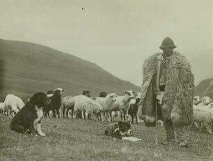 Hirte mit Hunden und Herde : Rumänien, Făgăraș-Gebirge (auch Fogarascher Gebirge), Schafhirte mit Hunden und Herde