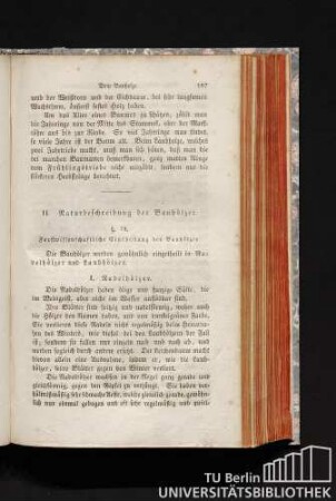 II. Naturbeschreibung der Bauhölzer.