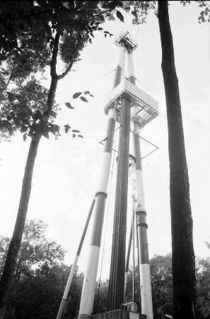 Freiburg: Bohrturm durch Äste mit Richtkrone