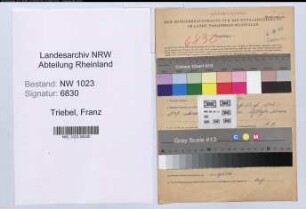 Entnazifizierung Franz Triebel , geb. 09.11.1907 (Angest.)