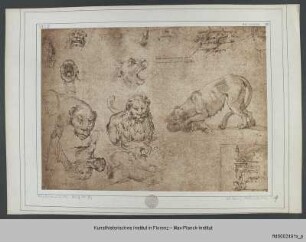 Studienblatt mit Löwen, Falkenkopf, Hundeköpfe, Architekturskizze für ein Wandgrabmal (?), Skizze nach Michelangelos Bacchus