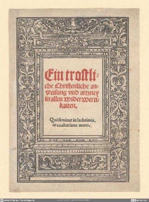 Ein trostliche Christenliche anweisung vnd artzney in allen widerwertikaiten / Spengler, Lazarus