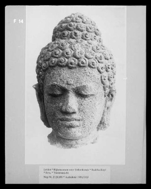 Buddha-Kopf