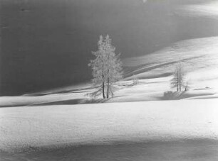zauberhafte Winterlandschaft