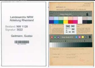 Entnazifizierung Gustav Geitmann , geb. 01.05.1896 (Prokurist)