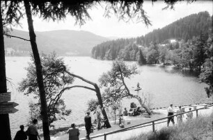 Titisee: Kurpromenade am See
