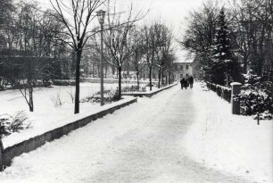 Ameide im Winter 1962/63. Schneebedeckte Gehwege