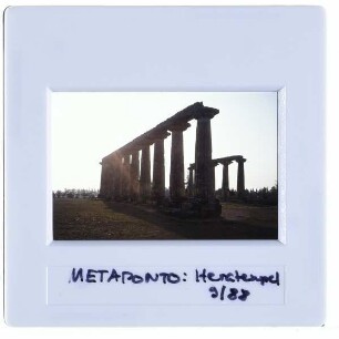 Metaponto, Tavole Palatine,Metaponto, Ruinenfeld : Säulenreihe