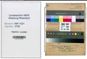 Entnazifizierung Louise Hamm , geb. 09.02.1904 (Kaufm.angest.)