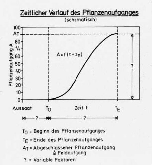 Zeitlicher Verlauf des Pflanzenaufganges (schematisch)