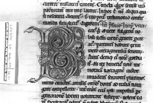 Rankeninitiale B, Folio 6 verso