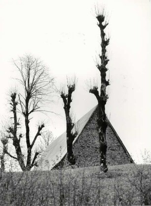 Reizvolles Motiv in der Frühlingszeit, Schafstall
