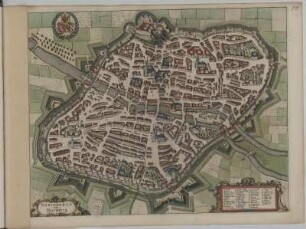 Vogelschauplan der Stadt Nürnberg, Kupferst.,1682