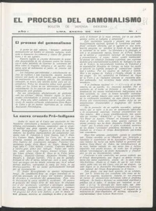 El proceso del gamonalismo