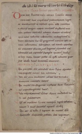 Homiliae in Ezechielem - BSB Clm 6316
