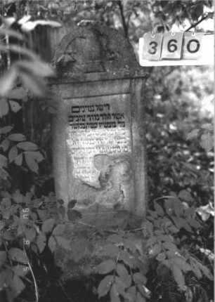 Grabstein 360 (Index: 100106736) Material: Sandstein Zustand: stark verwittert, in Platten abgesprungen, großer Textverlust Maße HxBxT: 118x44x12 cm Beschreibung: Stele mit Abdeckplatte und geschwungenem Bogenaufsatz, Schriftfeld eingetieft Symbolik: Levitenkanne: Grabstein 360