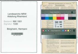 Entnazifizierung Hermann Borgmann, geb. 21.06.1908 (Klempner)