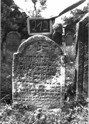 Grabstein 212 (Index: 100103308) Material: Sandstein Zustand: stark verwittert, teilweiser Textverlust Maße HxBxT: 85x57x13 cm Beschreibung: Stele, unregelmäßig eingezogener Rundbogenabschluss, Schriftfeld eingetieft: Grabstein 212