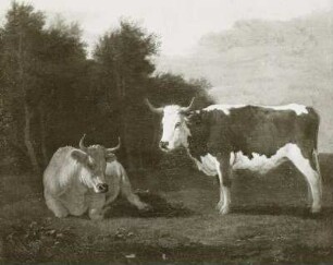 Zwei Kühe auf der Weide