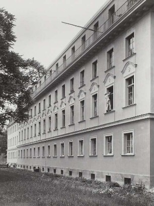 Ammonstraße
