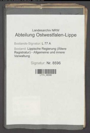 Straßenbau.- Straßenzug V.- Distrikt b sp. a Landstraße nach Steinheim (bis zur Napterbrücke)