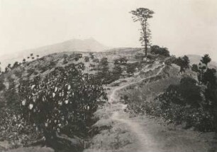 China. Wanshien am mittleren Yangtse. Landschaft bei Kaishien