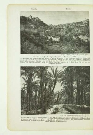 Aus der südlichen Randzone Spaniens. Granada, 650 m