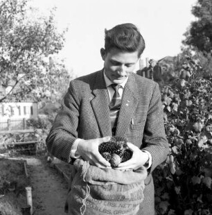 Lauterbach. Herr Stedler beim Sammeln von Naturmaterialien, hier mit Zapfen