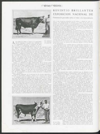 Revistió brillantes proporciones la 40a. Exposición Nacional de Ganadería de Palermo