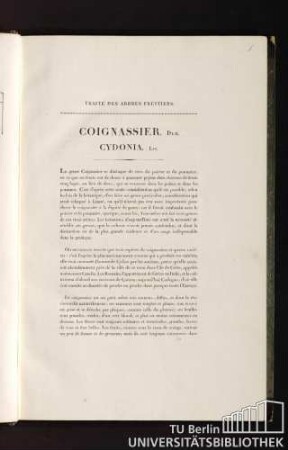 Traité des arbres fruitiers. Coignassier. Duh. Cydonia. Lin.