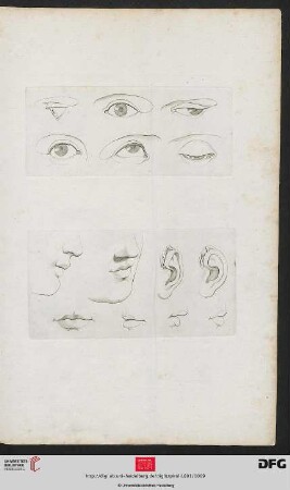[Taf. 4-5] [sechs Augen (div. Ansichten), untere Gesichtspartien, Ohren, Münder (Kontur, Schraffur) ]
