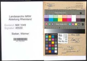 Entnazifizierung Werner Sieber , geb. 16.06.1914 (Kunstmaler)