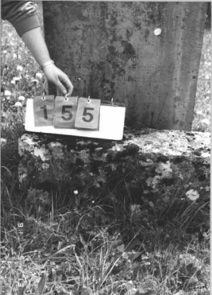 Grabstein 155 (Index: 99786107) Zustand: an Sockel gelehnt, stark verwittert Besonderheit: keine Maßangaben: Grabstein 155