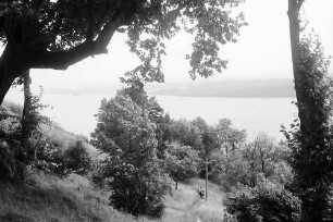 Überlingen, Haldenhof: Blick von oben auf Sipplingen, Vordergrund alle Bäume