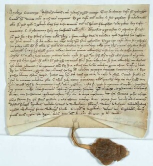 Zahlbach: Entscheidung des Stadtgerichts über einen Streit zwischen dem Peterstift und dem Pächter der Mühle zu Zahlbach