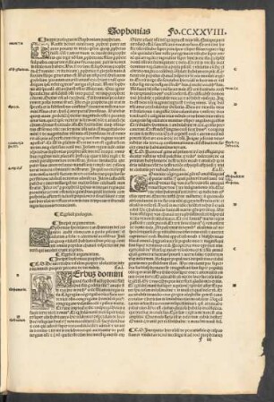 Incipit sophonias propheta.