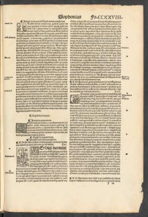 Incipit sophonias propheta.