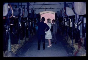 Spandau Polizei 8.6.69.