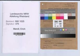 Entnazifizierung Erich Mandl , geb. 23.04.1903 (Chemiker)