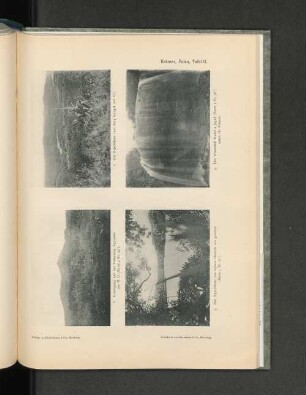 Krämer, Palau, Tafel 11.