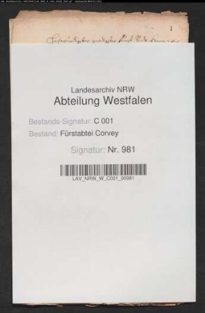 Armenwesen und Armenprovisoren